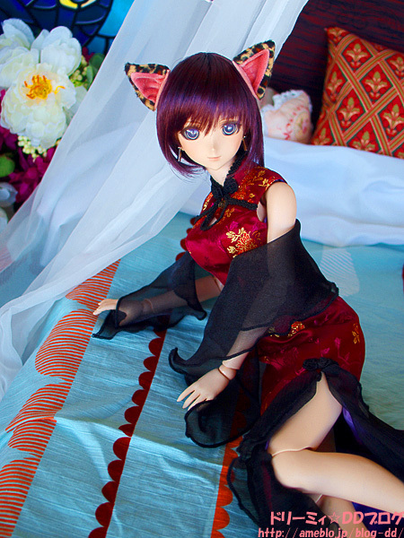 Shining Blade - Sakuya - Dollfie Dream - 1/3 (Volks) photo 4