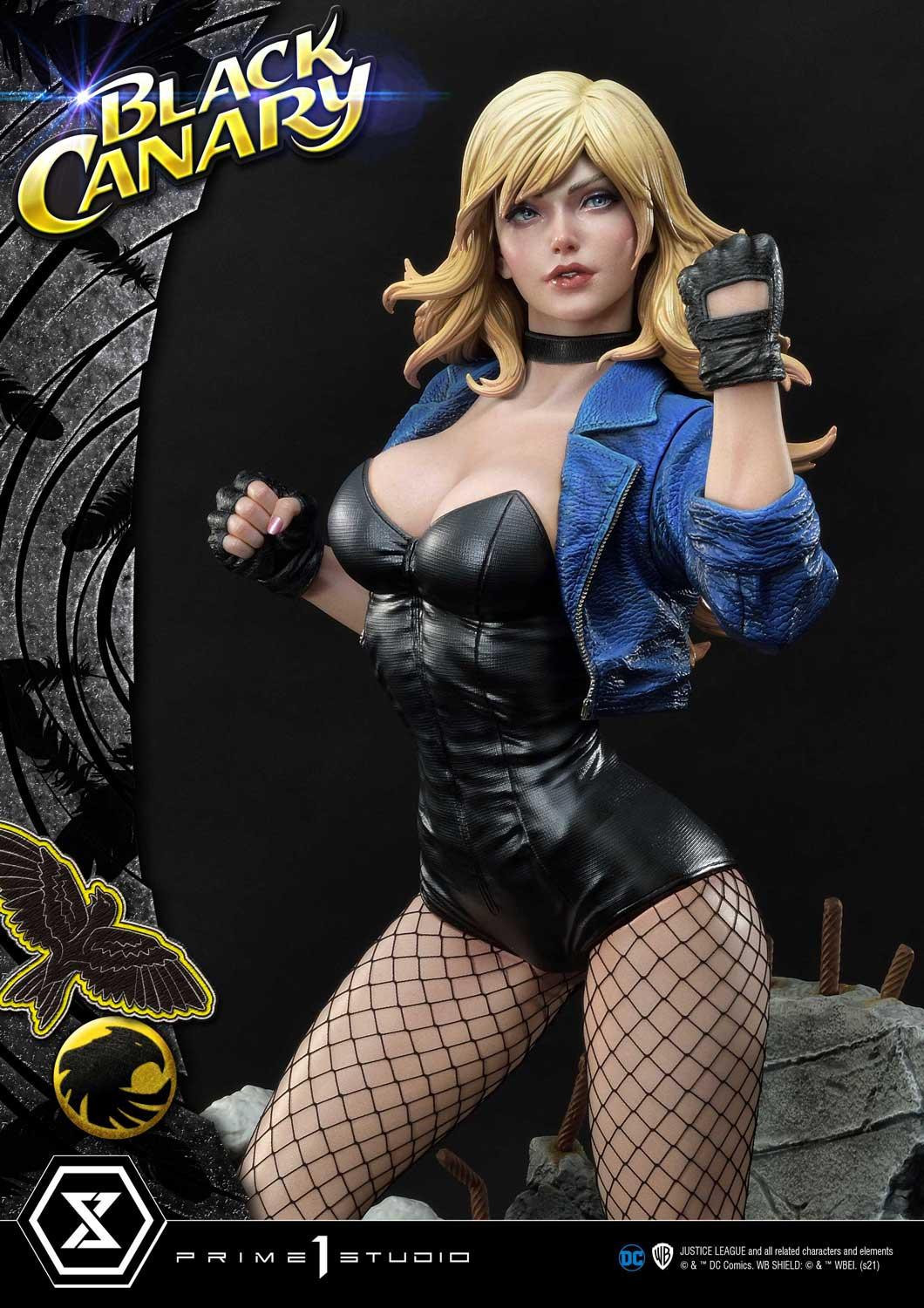 Black Canary - Museum Masterline Series  (MMDC-49) - 1/3 (Prime 1 Studio) photo 10
