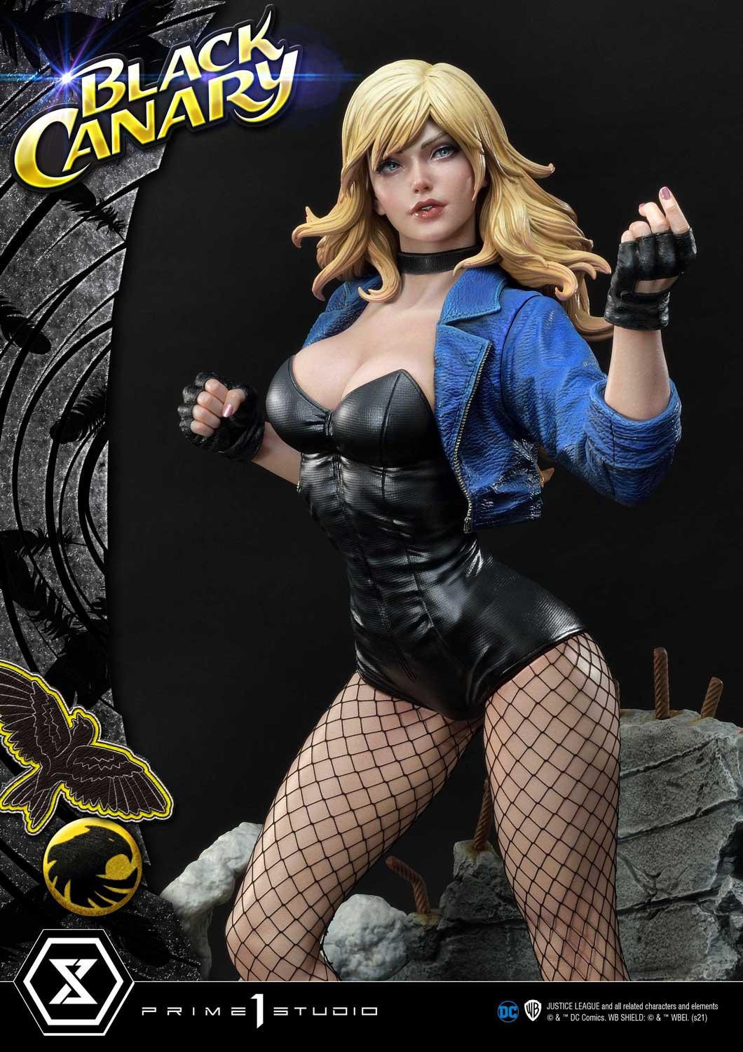 Black Canary - Museum Masterline Series  (MMDC-49) - 1/3 (Prime 1 Studio) photo 12