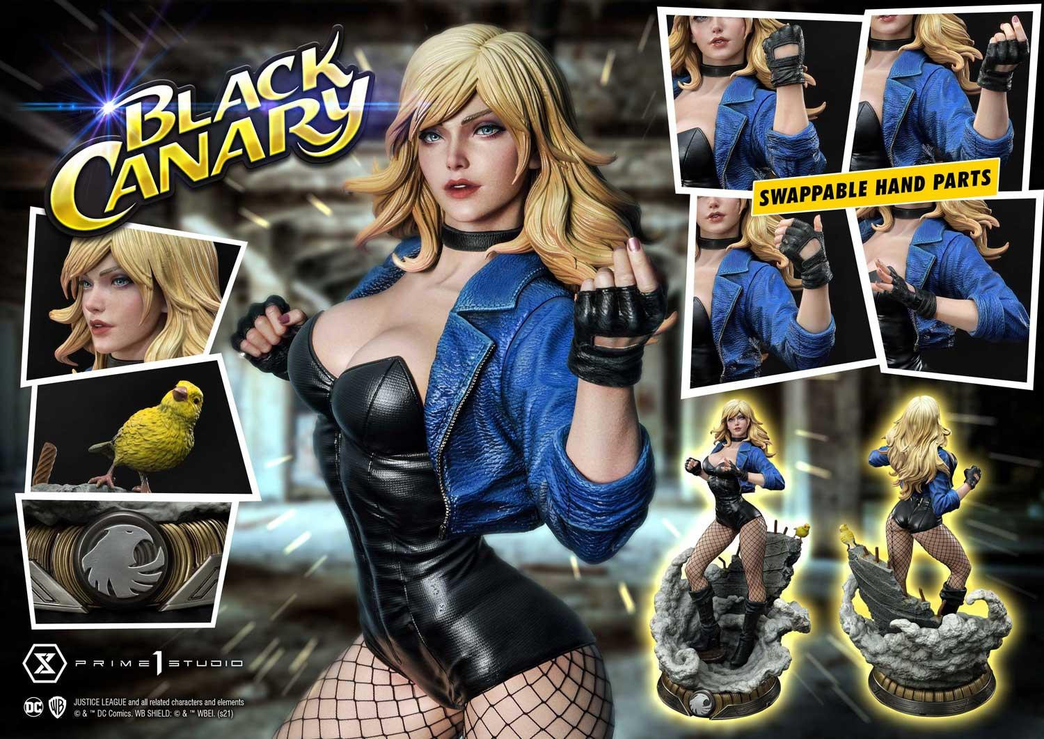 Black Canary - Museum Masterline Series  (MMDC-49) - 1/3 (Prime 1 Studio) photo 23