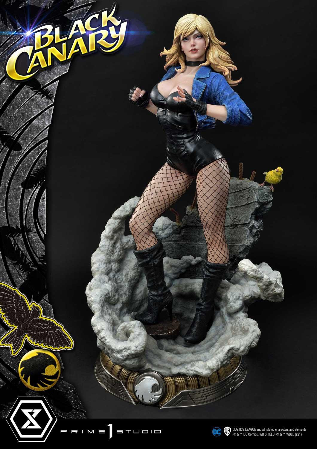 Black Canary - Museum Masterline Series  (MMDC-49) - 1/3 (Prime 1 Studio) photo 25