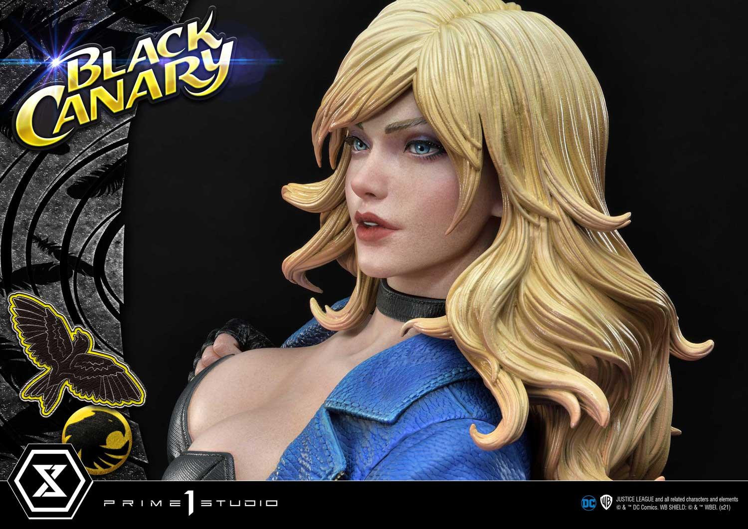 Black Canary - Museum Masterline Series  (MMDC-49) - 1/3 (Prime 1 Studio) photo 33