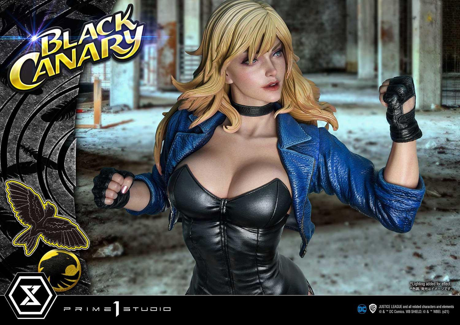 Black Canary - Museum Masterline Series  (MMDC-49) - 1/3 (Prime 1 Studio) photo 38