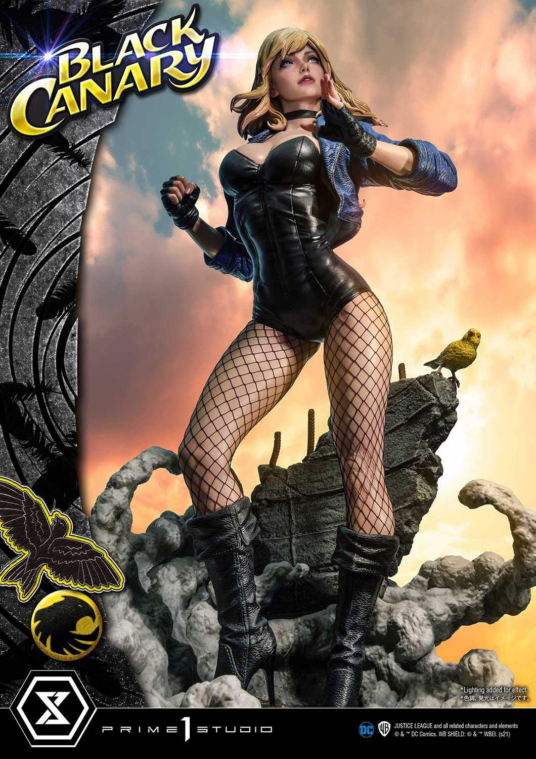 Black Canary - Museum Masterline Series  (MMDC-49) - 1/3 (Prime 1 Studio) photo 41