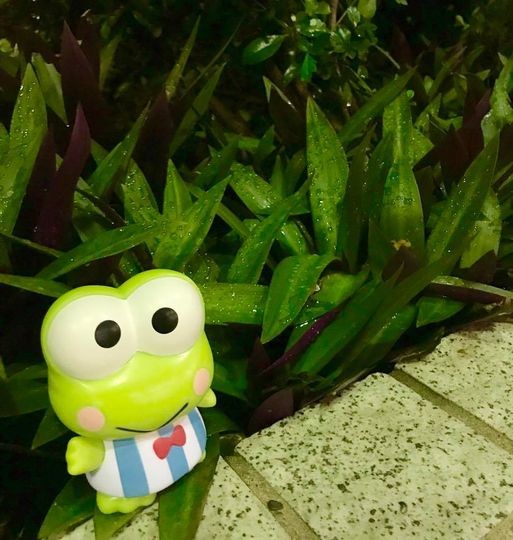 Sanrio Characters - Hasunoue Keroppi - Sanrio Classics (Unbox Industries) photo 5
