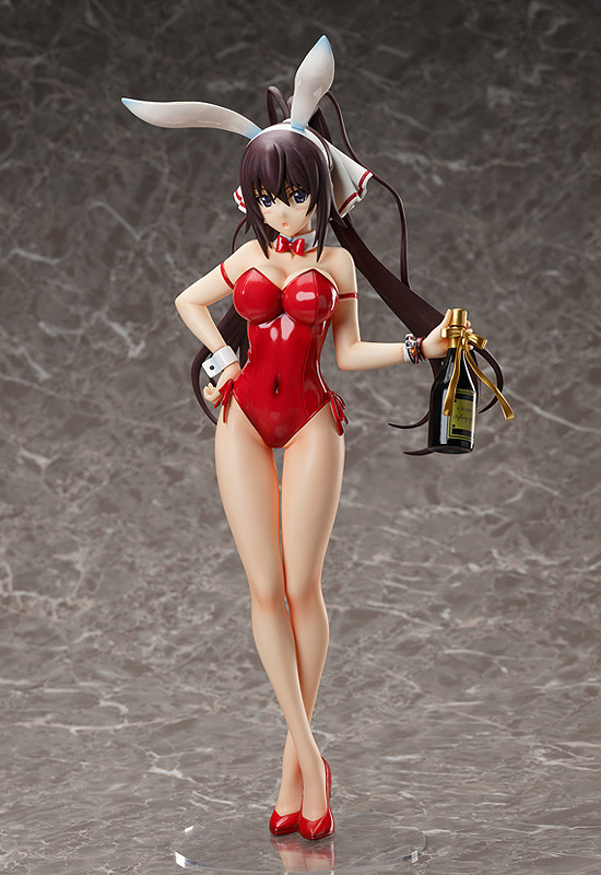 IS: Infinite Stratos - Shinonono Houki - B-style - 1/4 - Bare Leg Bunny Ver. (FREEing) photo 2