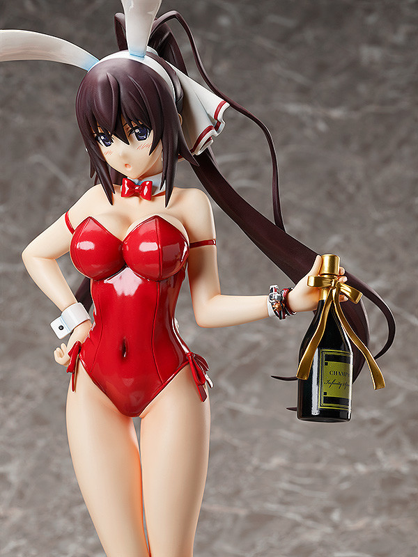 IS: Infinite Stratos - Shinonono Houki - B-style - 1/4 - Bare Leg Bunny Ver. (FREEing) photo 3