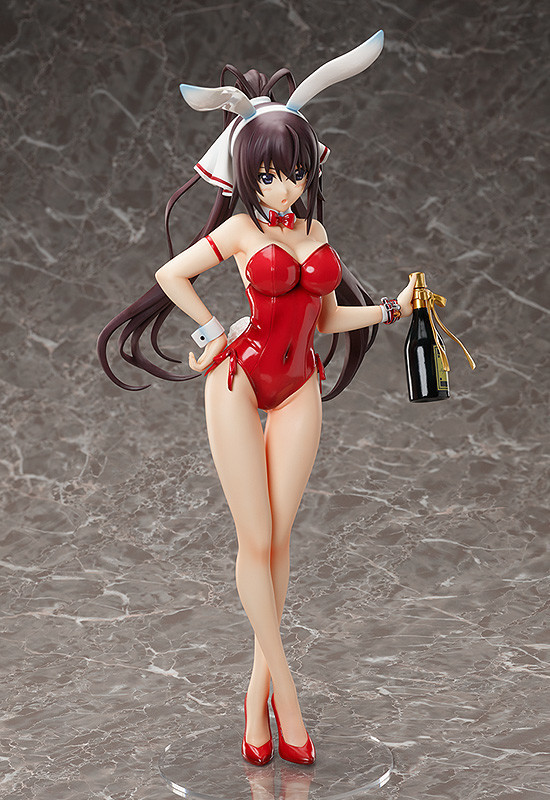 IS: Infinite Stratos - Shinonono Houki - B-style - 1/4 - Bare Leg Bunny Ver. (FREEing) photo 6