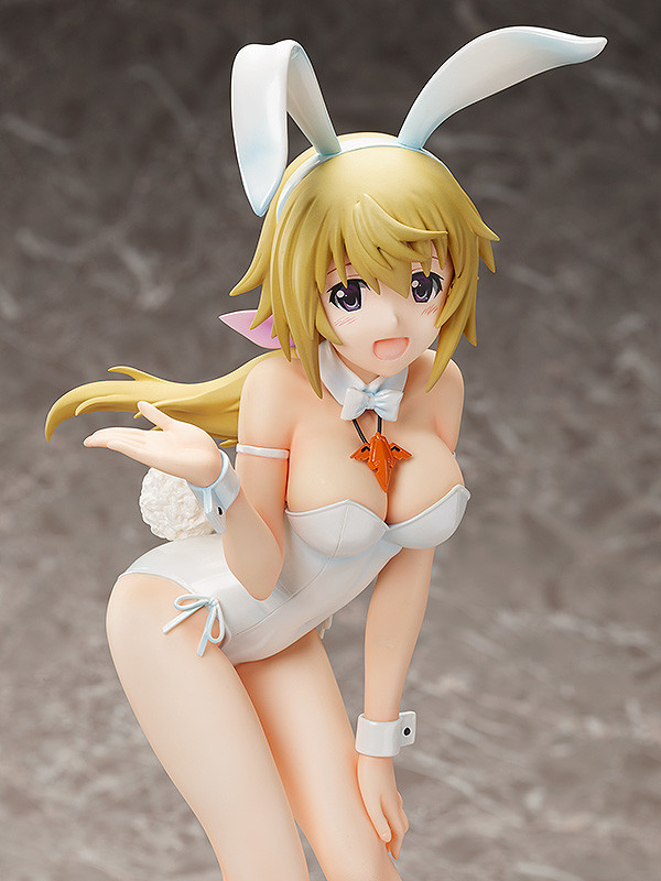 IS: Infinite Stratos - Charlotte Dunois - B-style - 1/4 - Bare Leg Bunny Ver. (FREEing) photo 4
