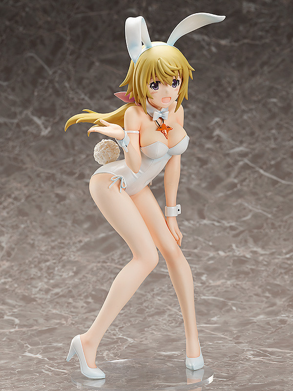 IS: Infinite Stratos - Charlotte Dunois - B-style - 1/4 - Bare Leg Bunny Ver. (FREEing) photo 5