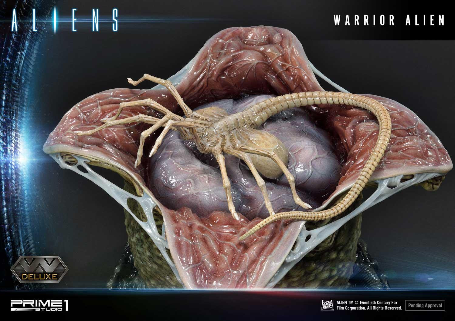 Aliens (Comics) - Alien Warrior - Facehugger - Premium Masterline  (PMDHAL-02DXS) - DX Bonus Version (Prime 1 Studio) photo 27