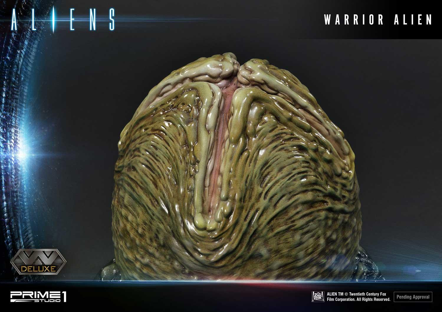 Aliens (Comics) - Alien Warrior - Facehugger - Premium Masterline  (PMDHAL-02DXS) - DX Bonus Version (Prime 1 Studio) photo 28