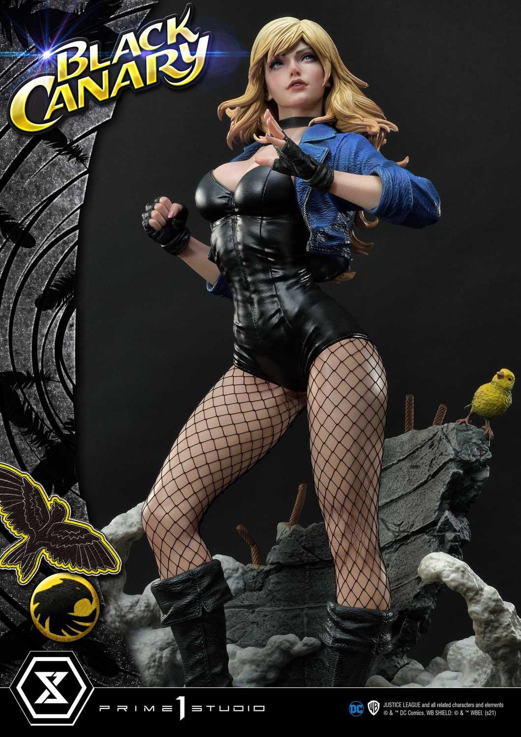 Black Canary - Museum Masterline Series  (MMDC-49EXS) - 1/3 - EX Bonus Version (Prime 1 Studio) photo 3