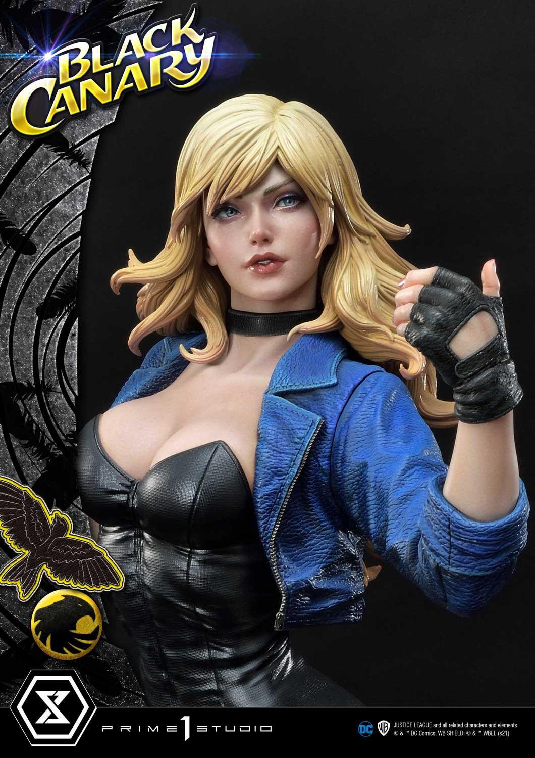 Black Canary - Museum Masterline Series  (MMDC-49EXS) - 1/3 - EX Bonus Version (Prime 1 Studio) photo 13