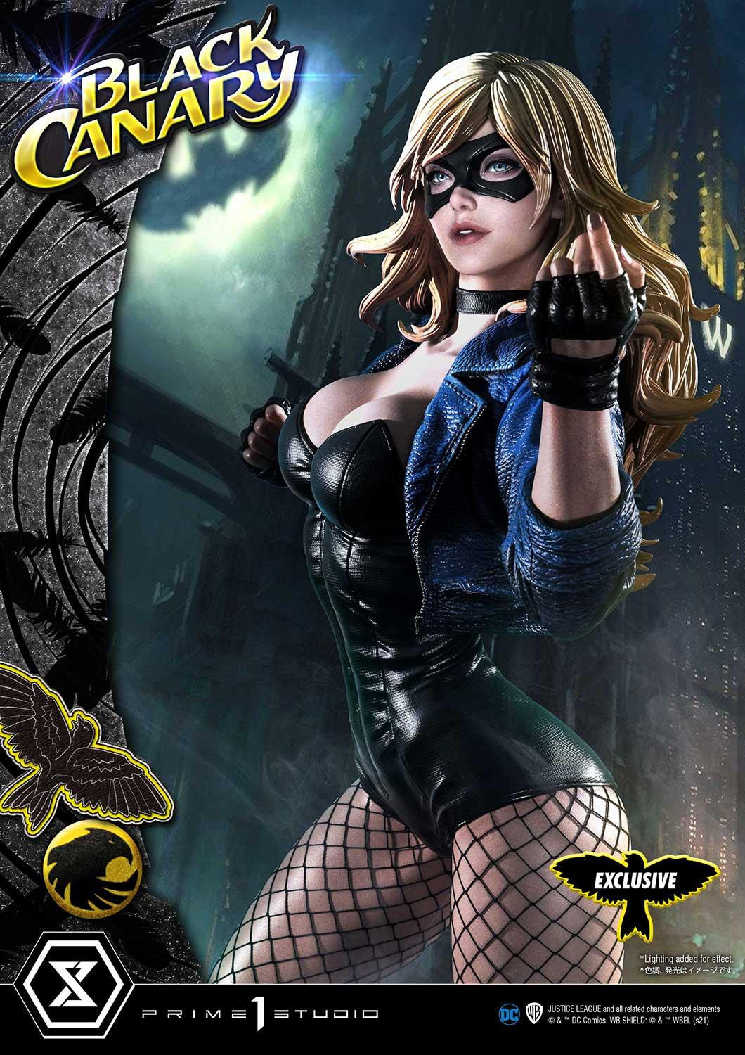 Black Canary - Museum Masterline Series  (MMDC-49EXS) - 1/3 - EX Bonus Version (Prime 1 Studio) photo 23