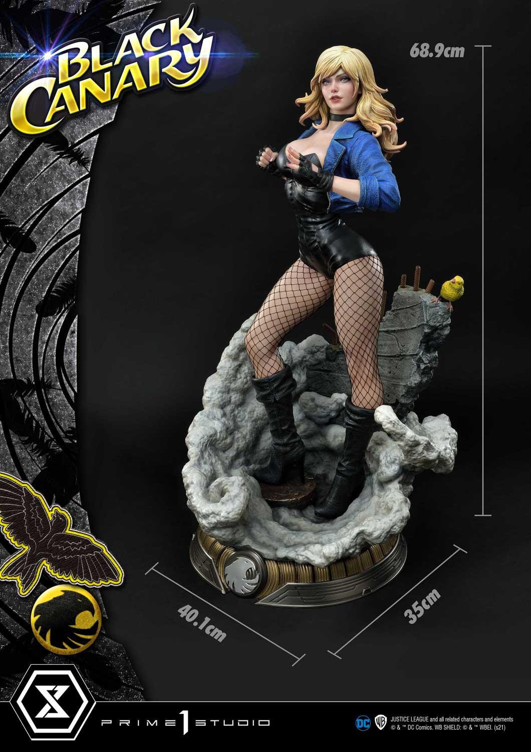 Black Canary - Museum Masterline Series  (MMDC-49EXS) - 1/3 - EX Bonus Version (Prime 1 Studio) photo 35