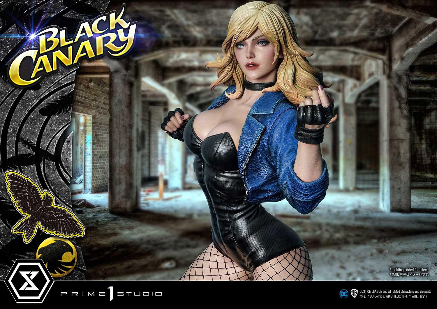 Black Canary - Museum Masterline Series  (MMDC-49EXS) - 1/3 - EX Bonus Version (Prime 1 Studio) photo 59