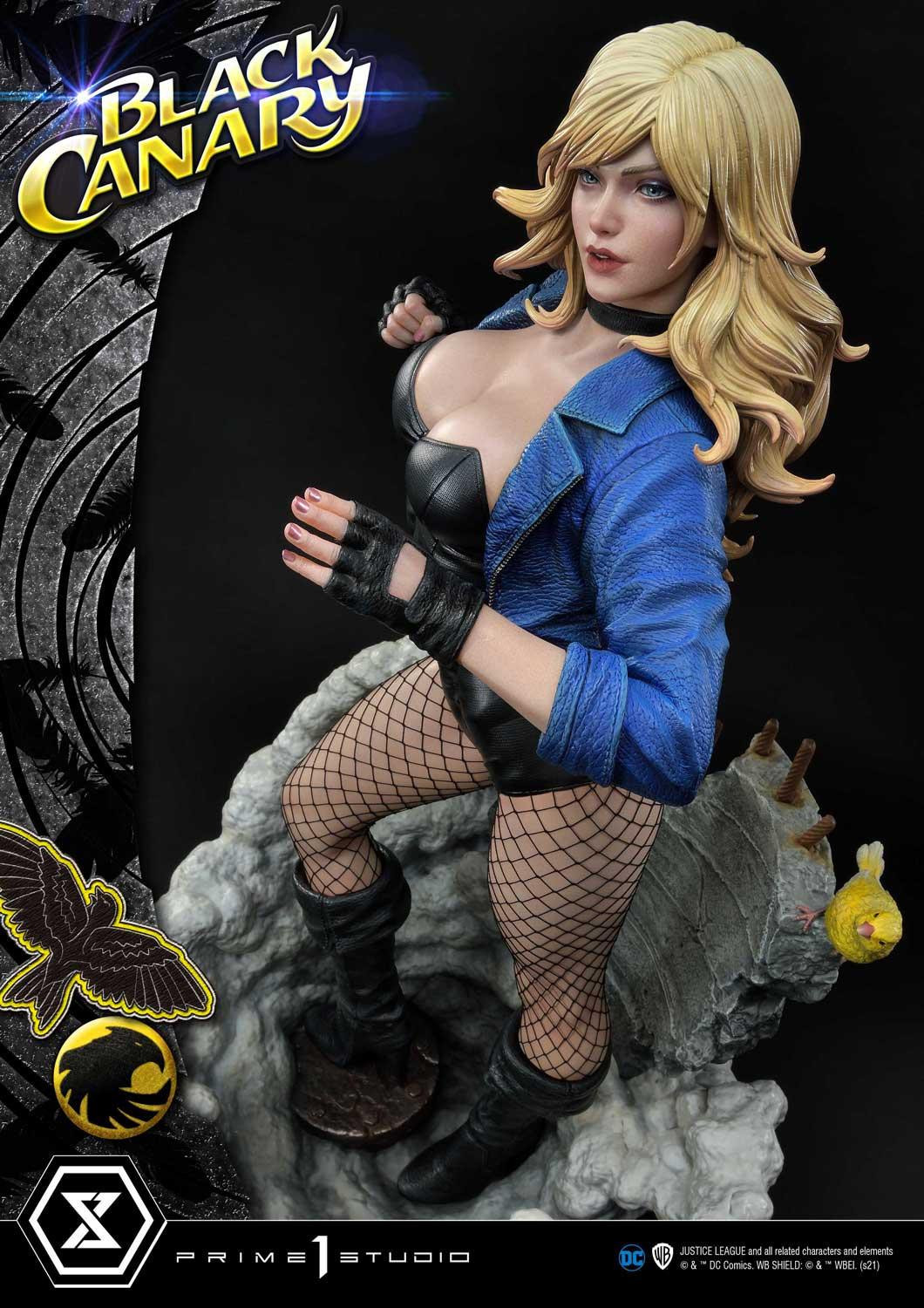 Black Canary - Museum Masterline Series  (MMDC-49EXS) - 1/3 - EX Bonus Version (Prime 1 Studio) photo 63