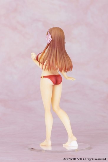 Heroine wa Tomodachi Desu ka? Koibito Desu ka? Soretomo Tomefure Desu ka? - Hinamori Sakurako - 1/12 - Swimsuit Ver. (Insight) photo 10