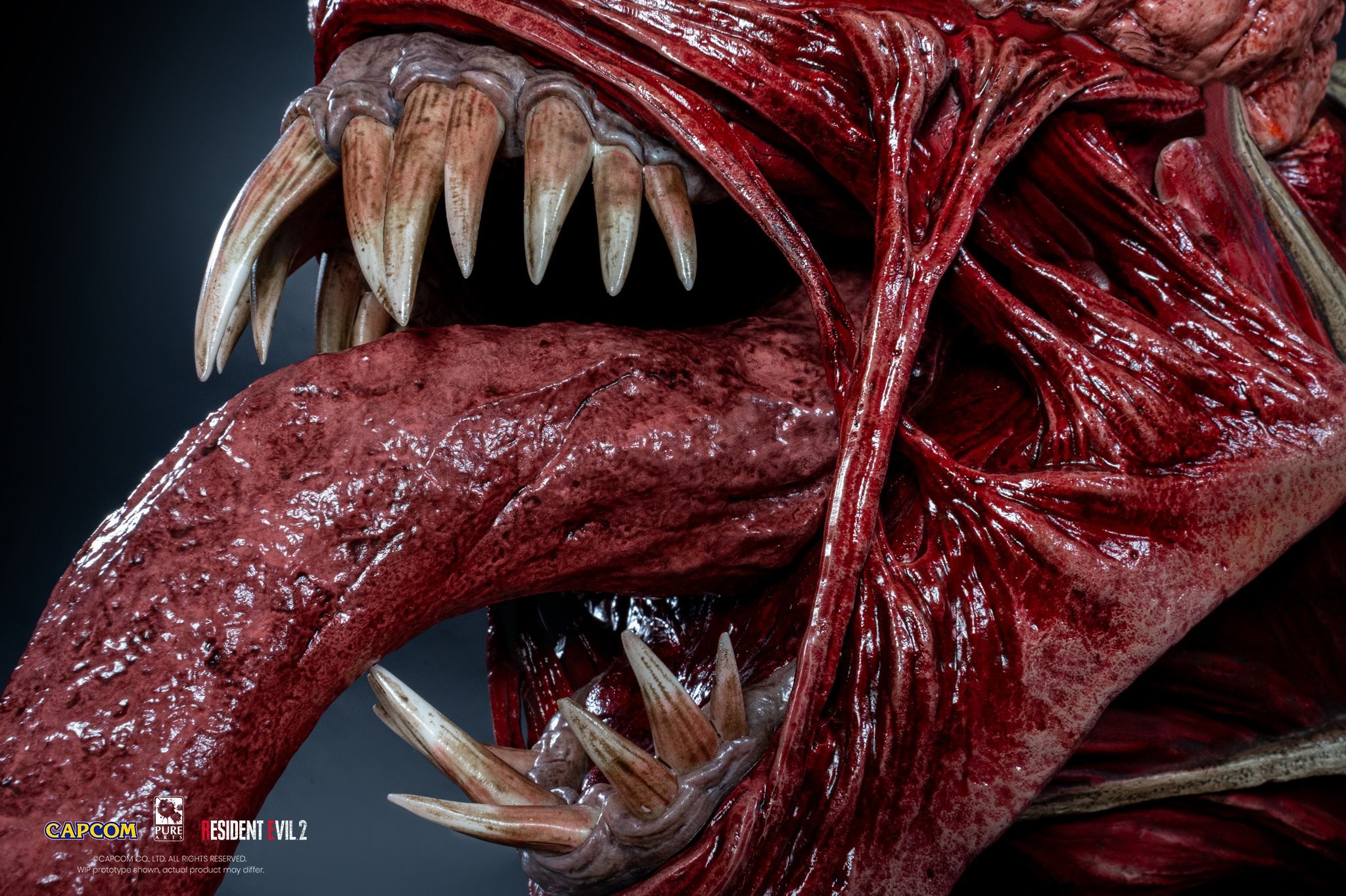 Biohazard Re:2 - Licker - Bust - 1/1 (Pure Arts) photo 8