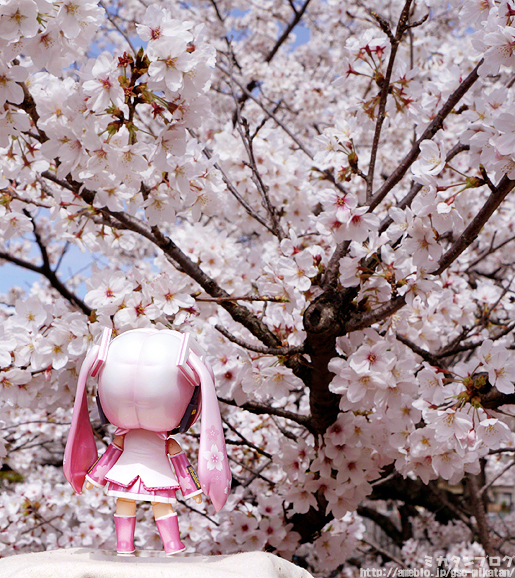 Vocaloid - Mikudayo - Nendoroid  (#299) (Good Smile Company) photo 51