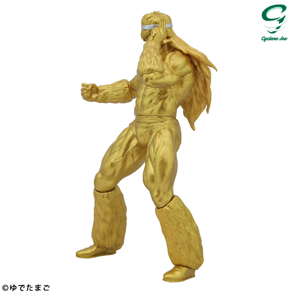 Kinnikuman - Geronimo - CCP Muscular Collection (NO.EX) - Uketsugareta Kakera Ver. (CCP) photo 11