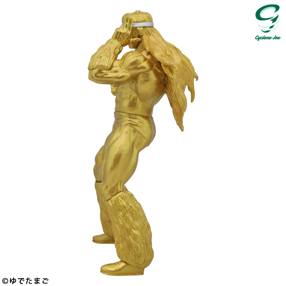 Kinnikuman - Geronimo - CCP Muscular Collection (NO.EX) - Uketsugareta Kakera Ver. (CCP) photo 12