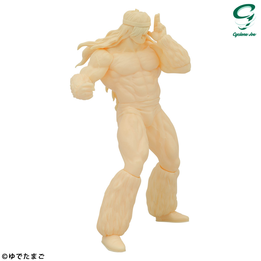 Kinnikuman - Geronimo - CCP Muscular Collection  (NO.EX) - Hada (CCP) photo 7