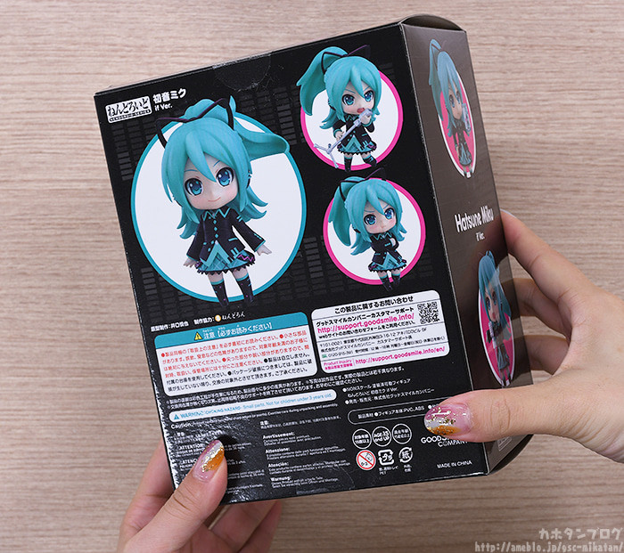 Vocaloid - Hatsune Miku - Nendoroid (#1739) - If Ver. (Good Smile Company) photo 18