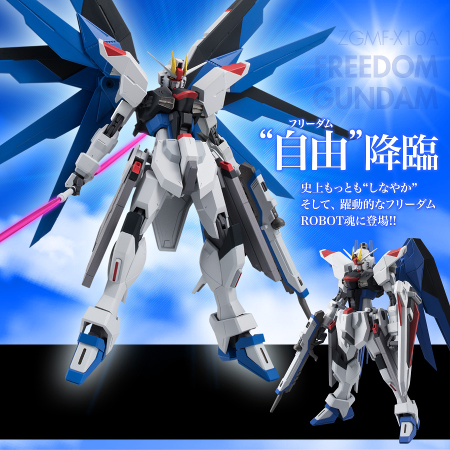 Kidou Senshi Gundam SEED - ZGMF-X10A Freedom Gundam - Robot Spirits (R-183) - Robot Spirits <Side MS> (Bandai) photo 5