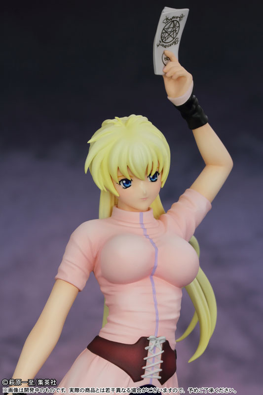 Bastard!! Ankoku no Hakaishin - Shiin-Hari - 1/7 (Griffon Enterprises)
