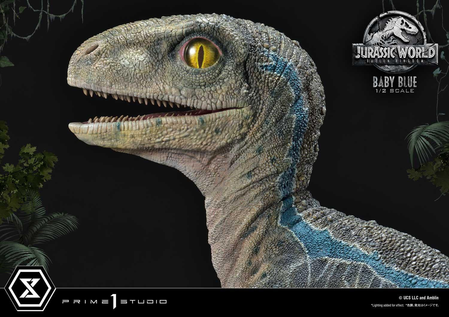 Jurassic World: Fallen Kingdom - Blue - Legacy Museum Collection  (LMCJW2-08) - 1/2 - Baby (Prime 1 Studio) photo 7