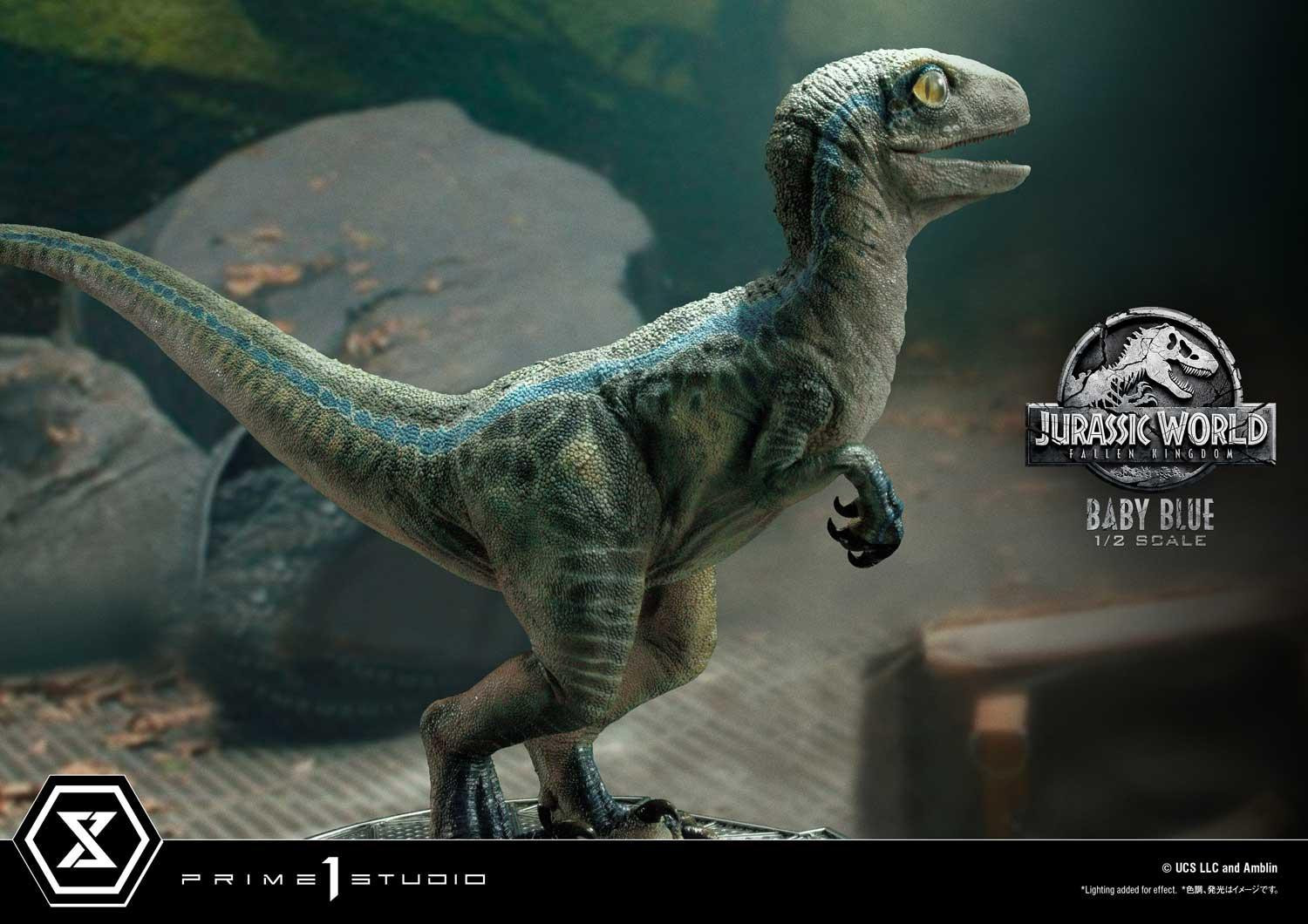 Jurassic World: Fallen Kingdom - Blue - Legacy Museum Collection  (LMCJW2-08) - 1/2 - Baby (Prime 1 Studio) photo 14