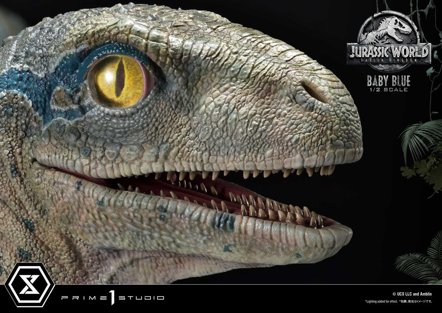 Jurassic World: Fallen Kingdom - Blue - Legacy Museum Collection  (LMCJW2-08) - 1/2 - Baby (Prime 1 Studio) photo 16