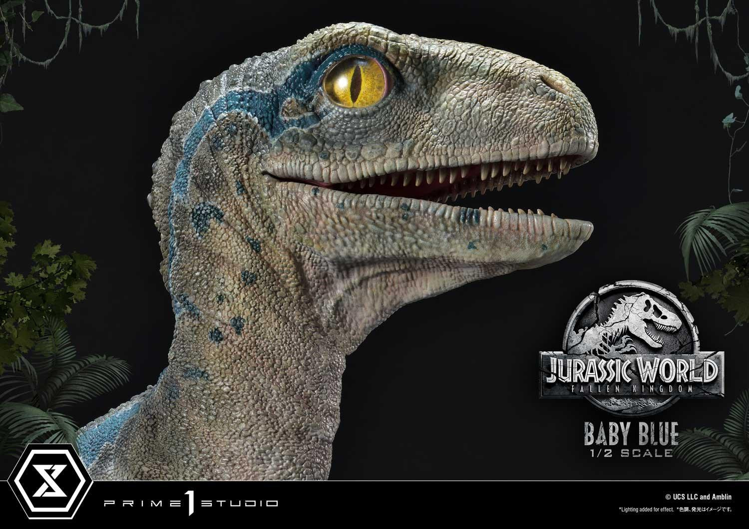 Jurassic World: Fallen Kingdom - Blue - Legacy Museum Collection  (LMCJW2-08) - 1/2 - Baby (Prime 1 Studio) photo 17