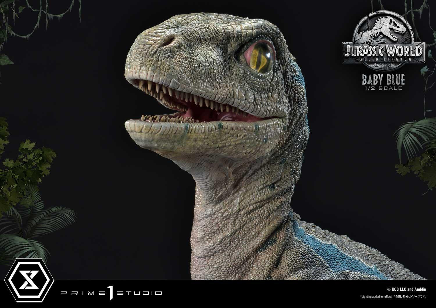 Jurassic World: Fallen Kingdom - Blue - Legacy Museum Collection  (LMCJW2-08) - 1/2 - Baby (Prime 1 Studio) photo 18