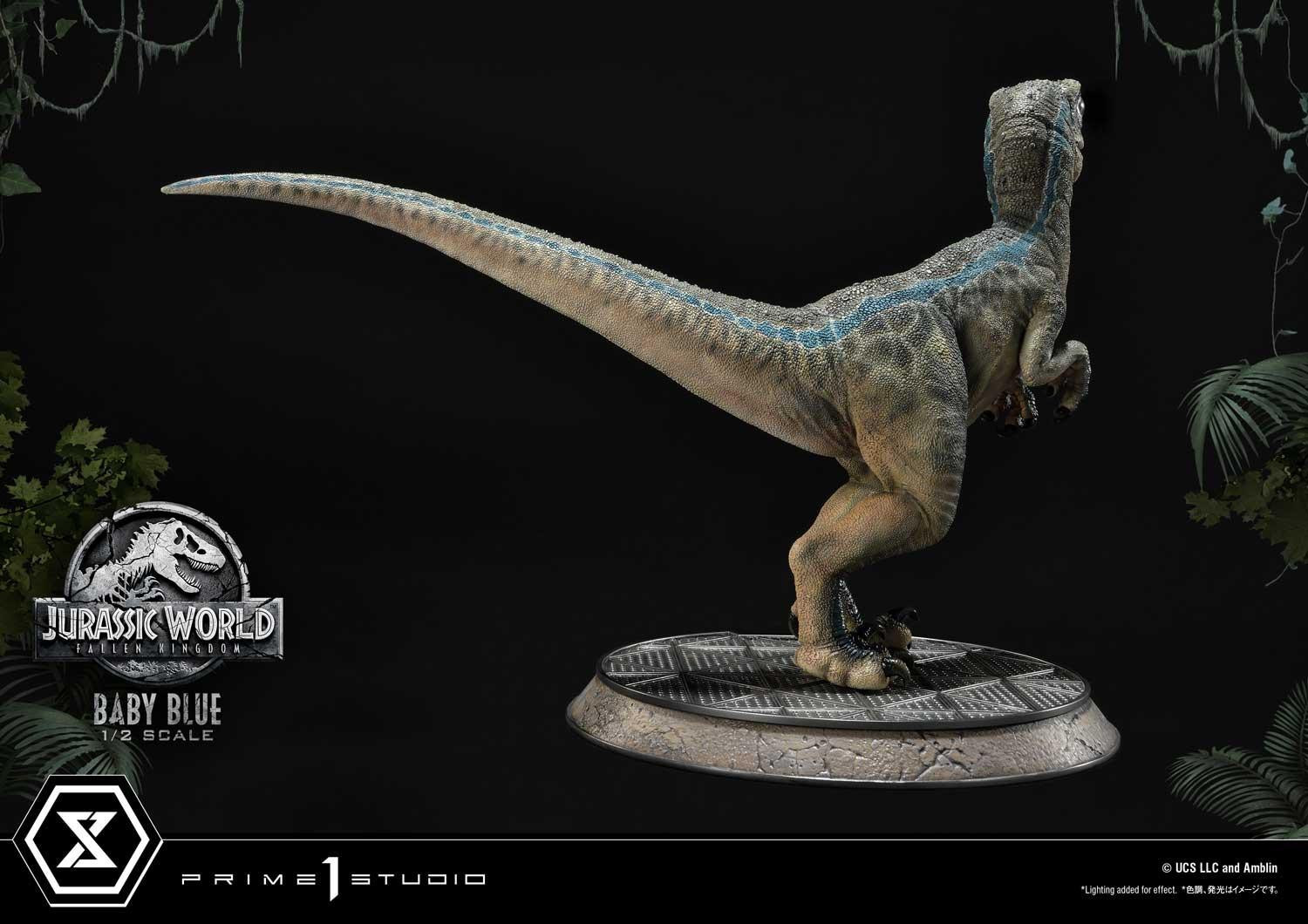Jurassic World: Fallen Kingdom - Blue - Legacy Museum Collection  (LMCJW2-08) - 1/2 - Baby (Prime 1 Studio) photo 23