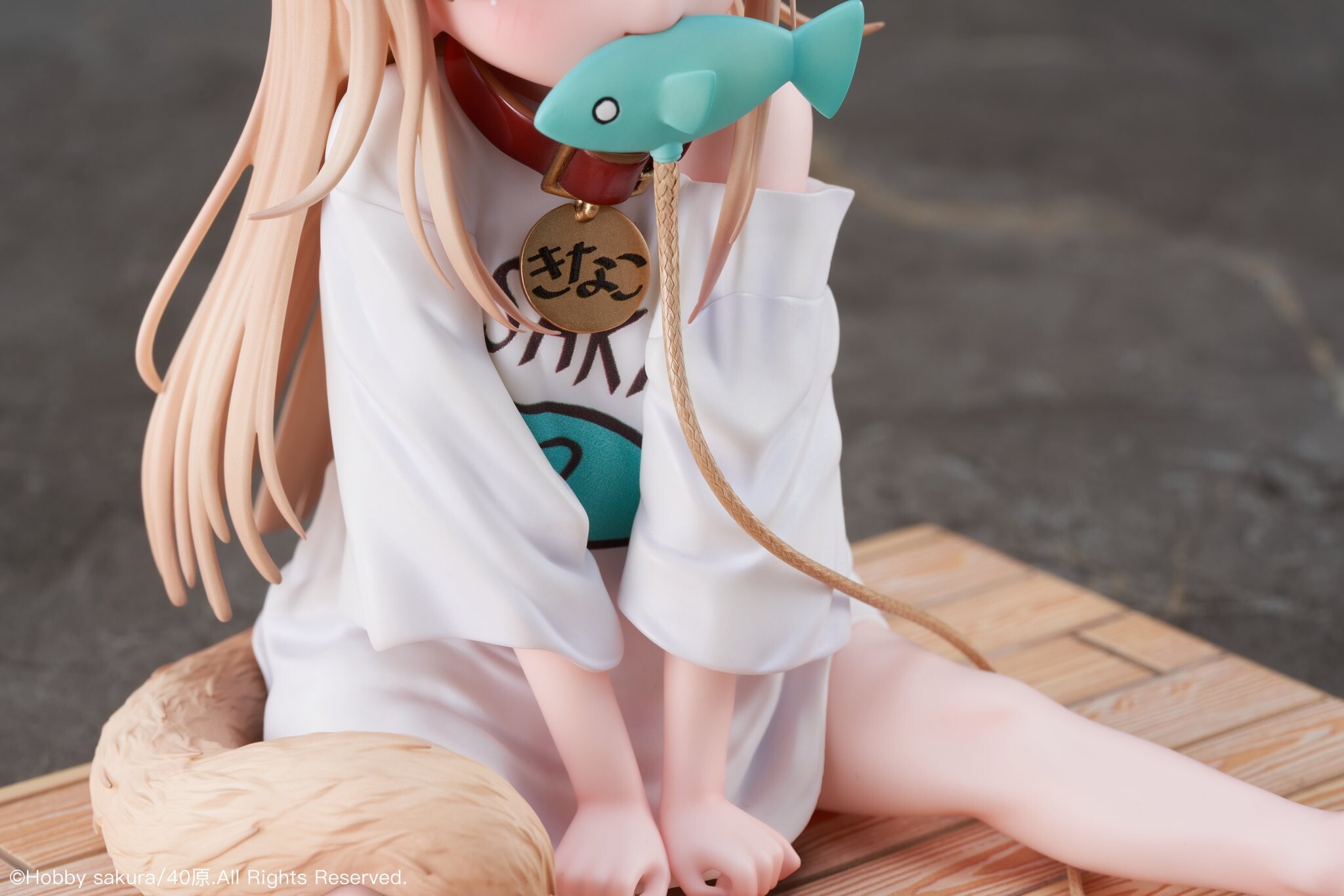 Uchi no Neko ga Onnanoko de Kawaii - Kinako - 1/6 - Osuwari Osakana ver. (Hobby Sakura) photo 11