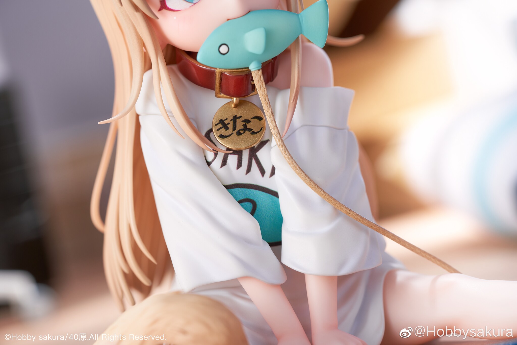 Uchi no Neko ga Onnanoko de Kawaii - Kinako - 1/6 - Osuwari Osakana ver. (Hobby Sakura) photo 16