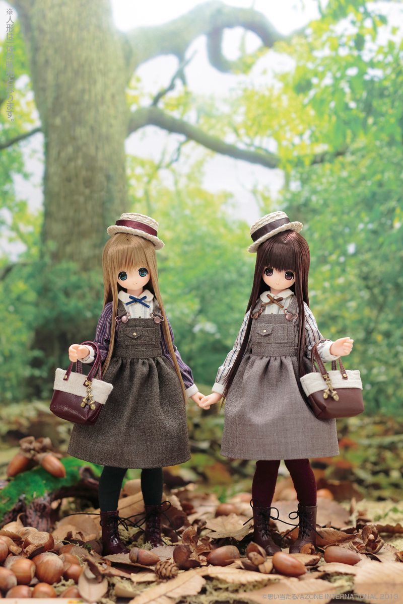 Ex☆Cute (9th Series) - PureNeemo - Chiika - 1/6 - Komorebimori no Doubutsutachi ♪, Squirrel (Azone) photo 3