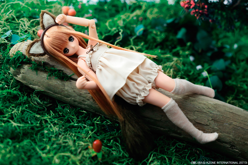 Ex☆Cute (9th Series) - PureNeemo - Himeno - 1/6 - Komorebimori no Doubutsutachi ♪, Wolf (Azone) photo 4