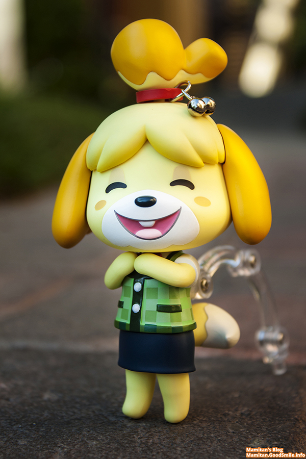 Tobidase Doubutsu no Mori - Shizue - Nendoroid (#327) (Good Smile Company) photo 42