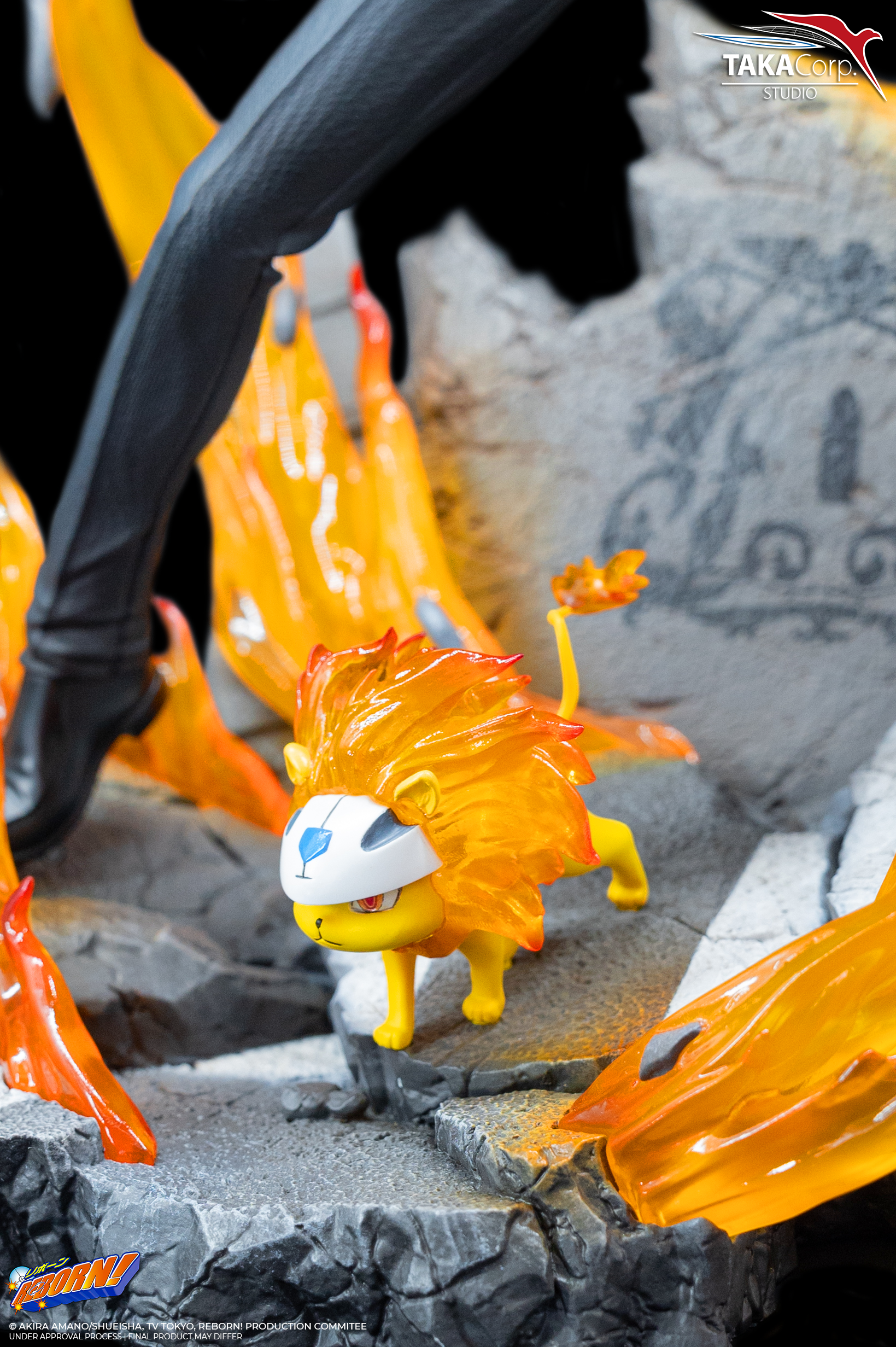 Katekyou Hitman REBORN! - Natsu - Reborn - Sawada Tsunayoshi - 1/6 (Taka Corp Studio) photo 10