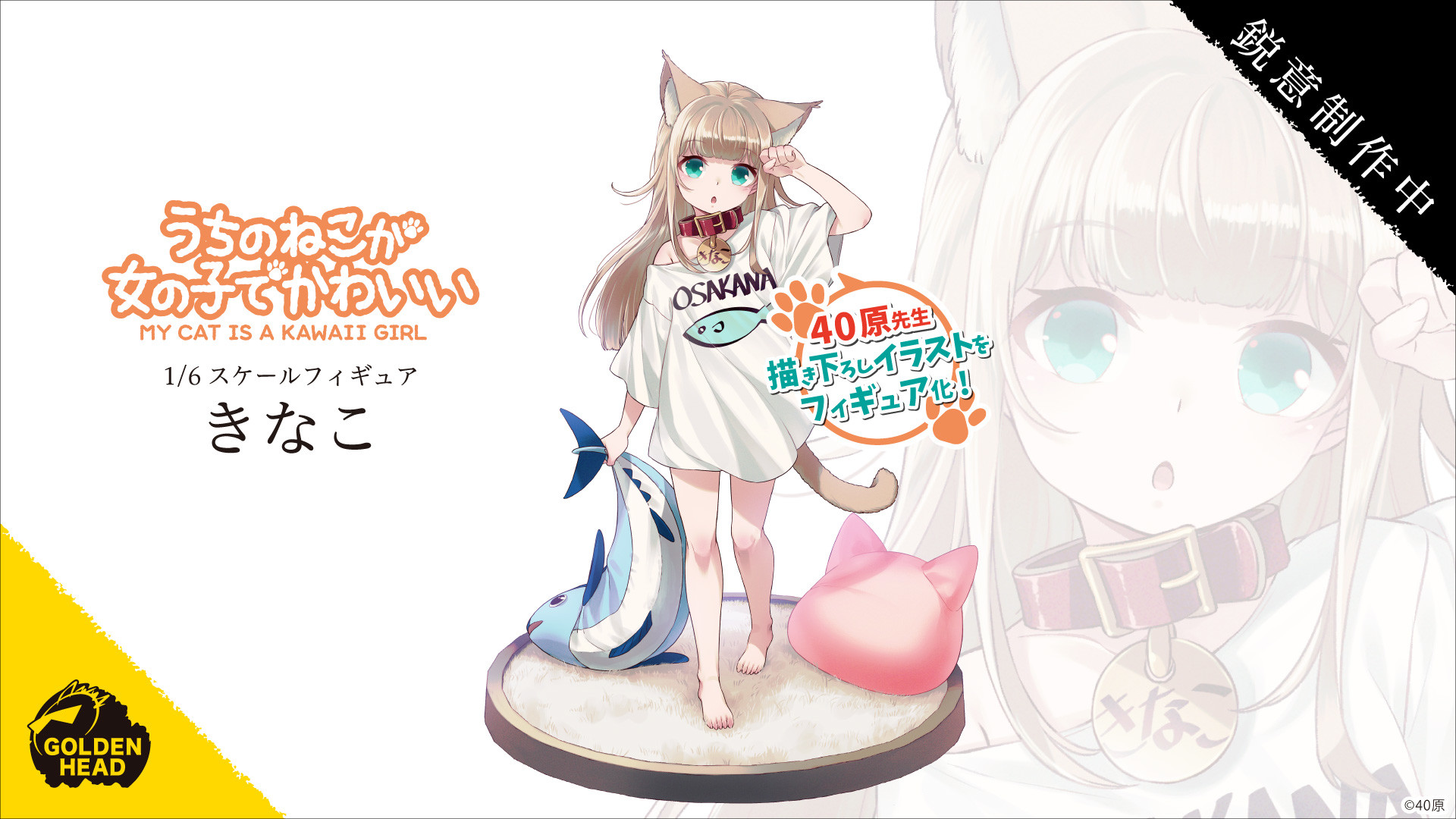 Uchi no Neko ga Onnanoko de Kawaii - Kinako - Golden Head - 1/6 - Good Morning Ver. (Alice Glint, Thousand) photo 5