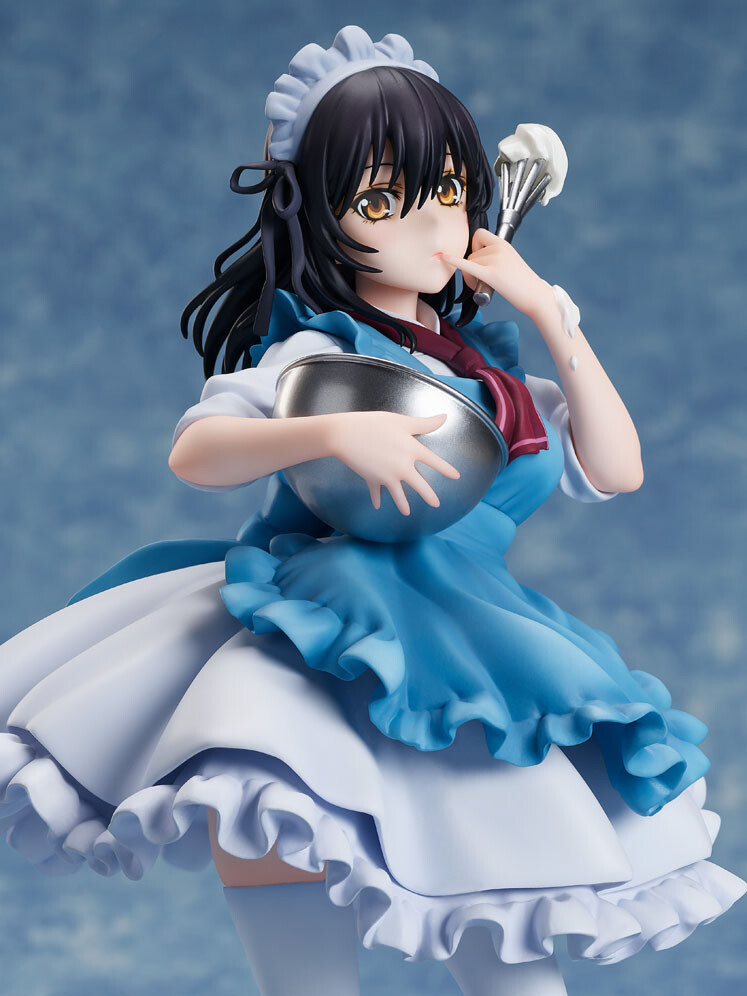 Strike the Blood Final - Himeragi Yukina - F:Nex - 1/7 - Maid ver. (FuRyu) photo 6