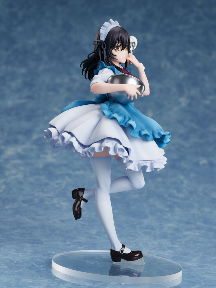 Strike the Blood Final - Himeragi Yukina - F:Nex - 1/7 - Maid ver. (FuRyu) photo 9
