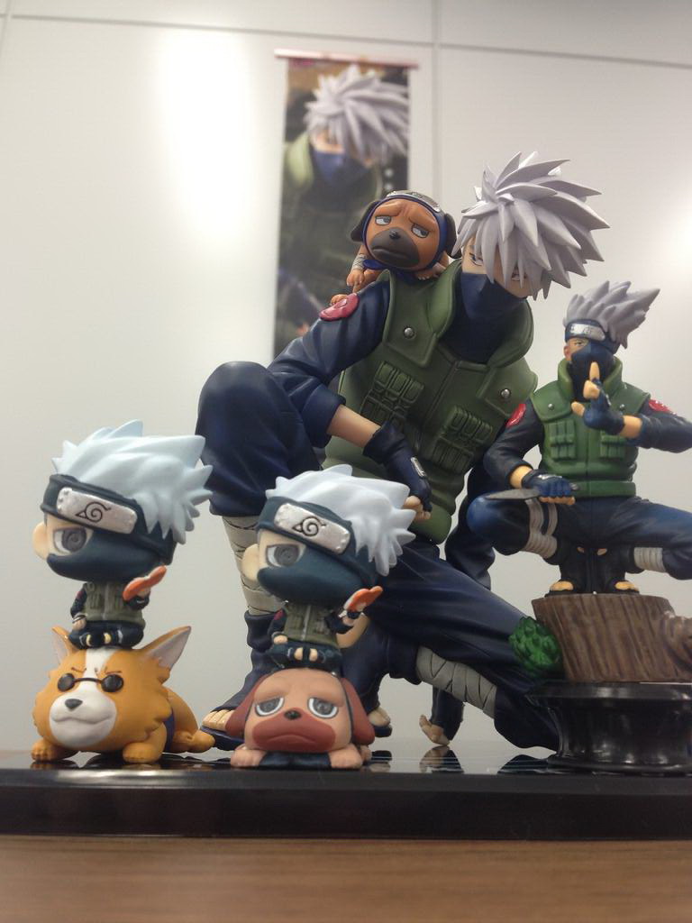 Hatake Kakashi,Pakkun