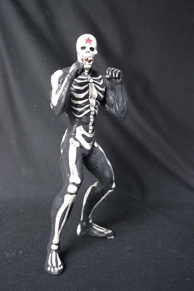 Tiger Mask - Skull Star - Overwhelming Tiger Mask - Vol. 2 (Dive, Studio-ren) photo 5