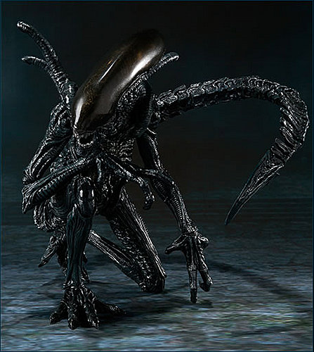 Alien Vs Predator - Alien Warrior - S.H.MonsterArts (Bandai)