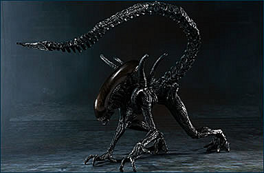 Alien Vs Predator - Alien Warrior - S.H.MonsterArts (Bandai)